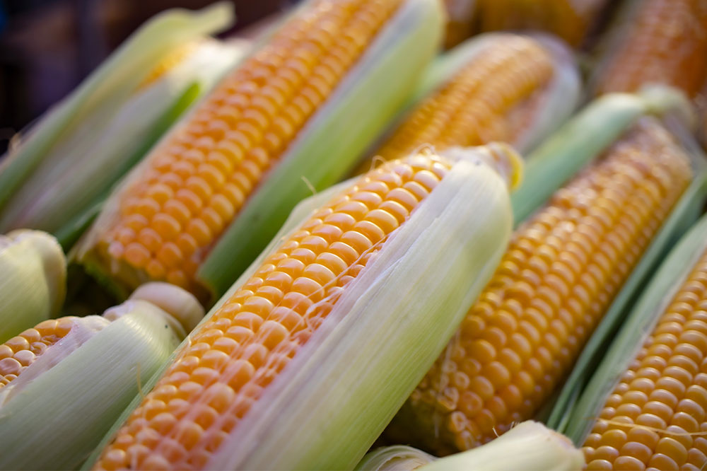 Types of foods to be avoided by Crohn’s disease patients