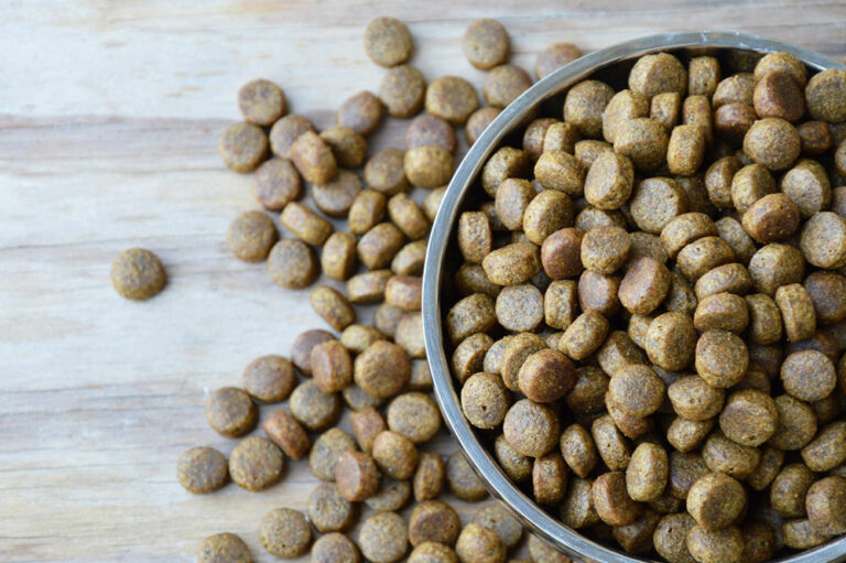 Top 10 Dog Food Deals to Anticipate for Black Friday 2023